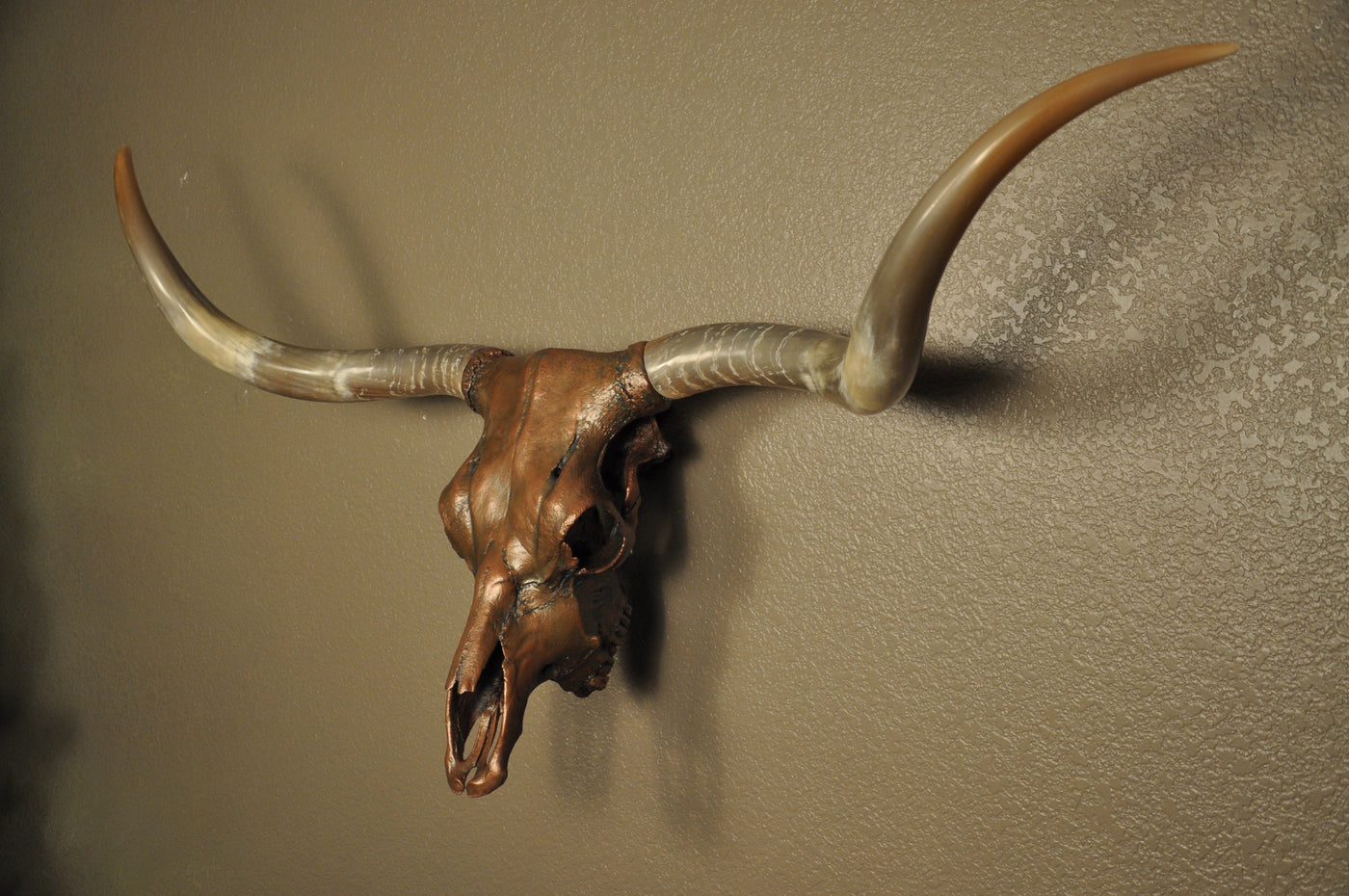 J. L.'s COPPER TWIST - 4' 9" Longhorn Skull