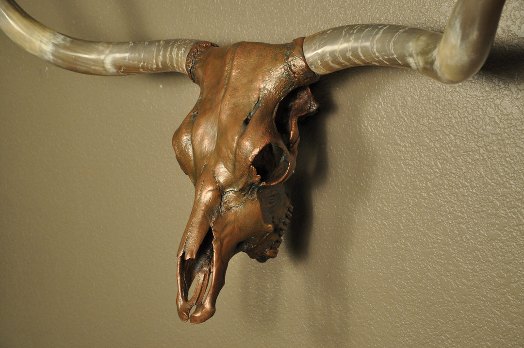 J. L.'s COPPER TWIST - 4' 9" Longhorn Skull