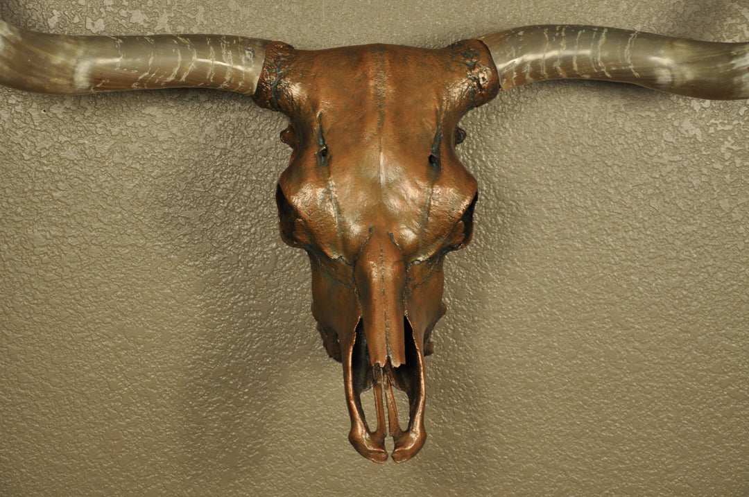 J. L.'s COPPER TWIST - 4' 9" Longhorn Skull