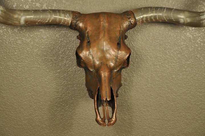 J. L.'s COPPER TWIST - 4' 9" Longhorn Skull