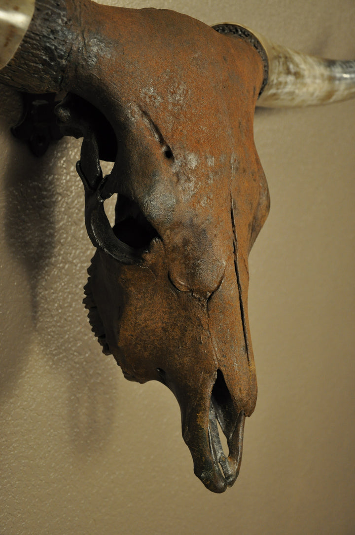 TEXAS RUST - 5' 1" Longhorn Skull