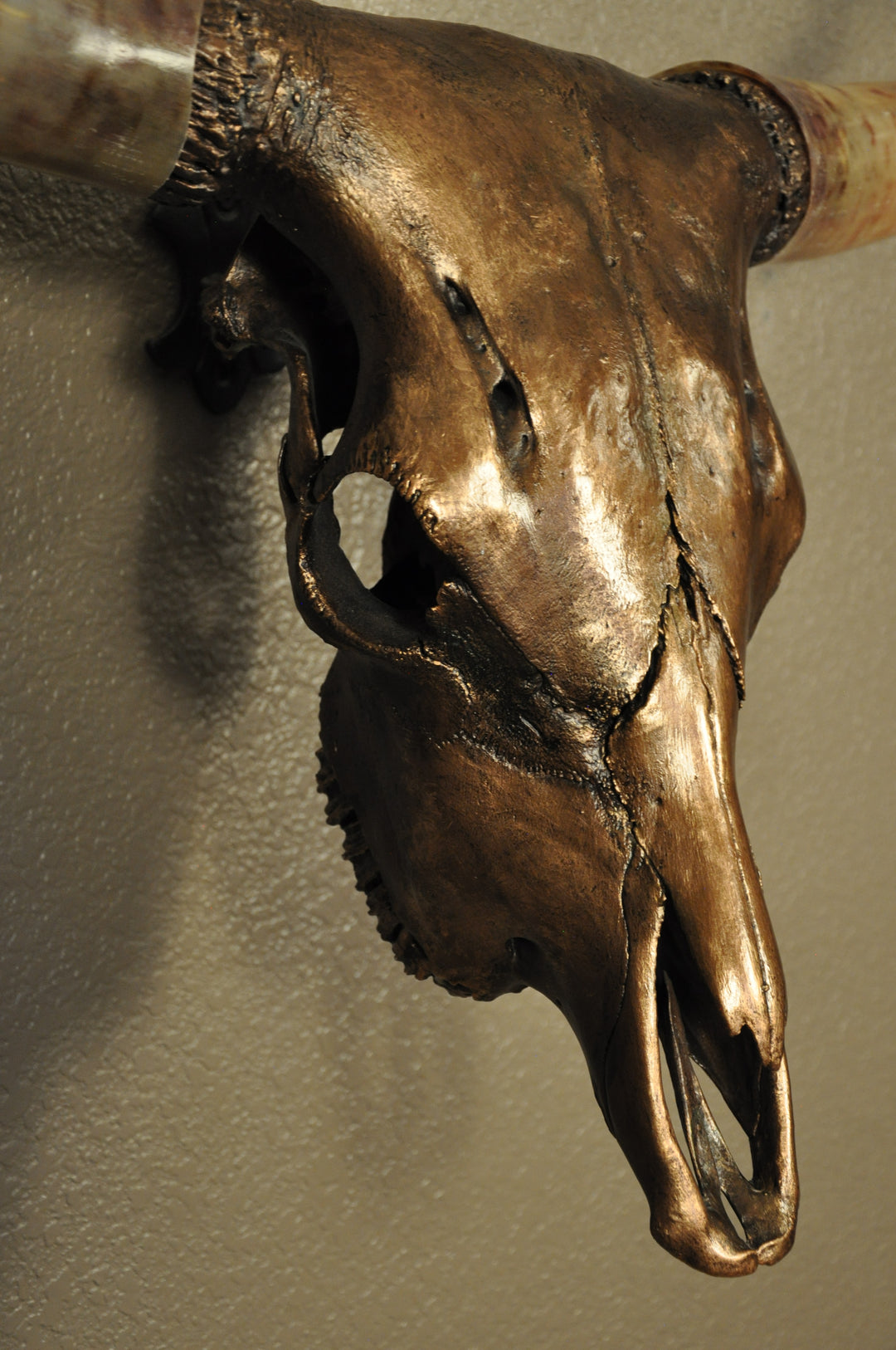 WILD ROSE - 3' 6" Longhorn Skull