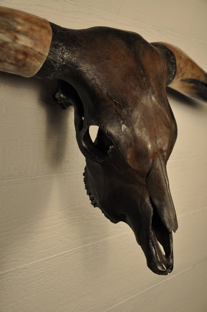 DIABLO - 5' 9" Longhorn Bull Skull