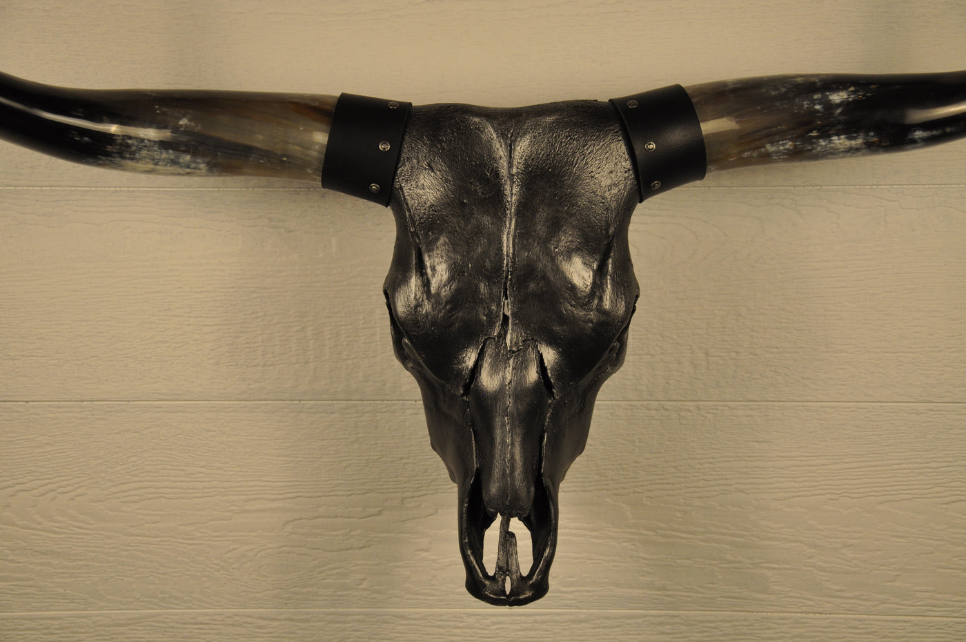 MIDNIGHT - 3' 3" Longhorn Skull