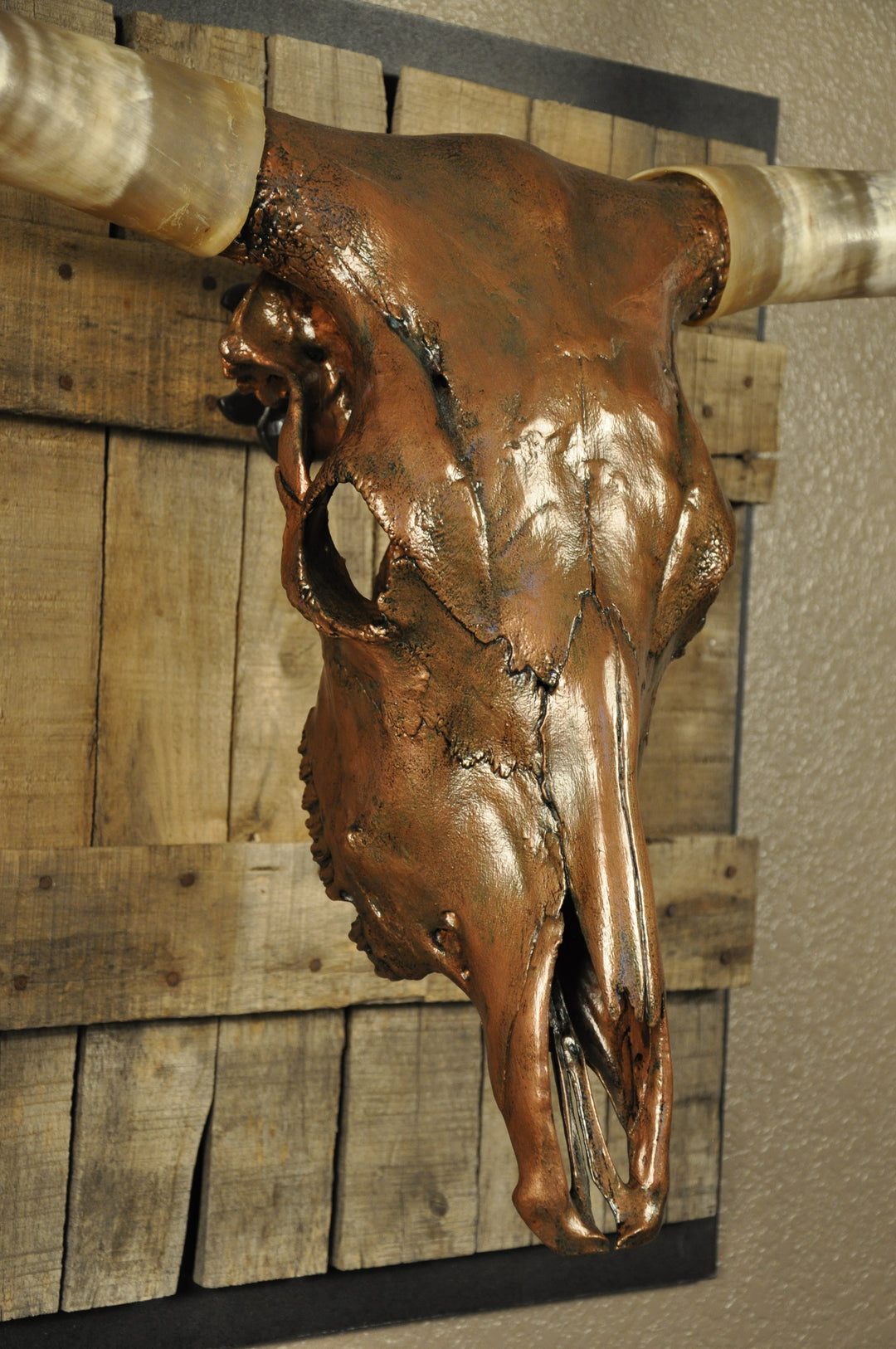 COPPERHEAD - 3' 3" Longhorn Skull