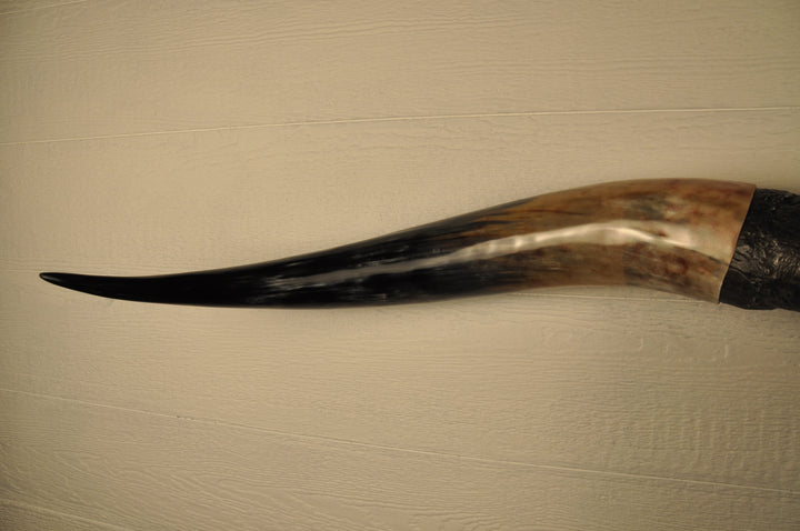 DIABLO - 5' 9" Longhorn Bull Skull