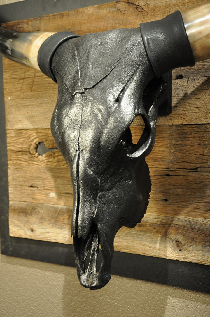 TOUGH LUCK - 4' 1/2" Longhorn Skull