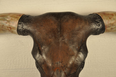 DIABLO - 5' 9" Longhorn Bull Skull