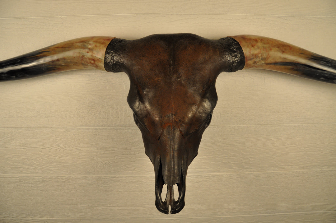 DIABLO - 5' 9" Longhorn Bull Skull