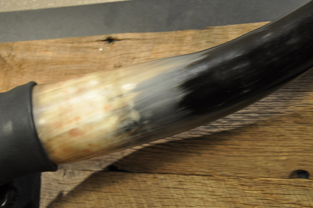 TOUGH LUCK - 4' 1/2" Longhorn Skull