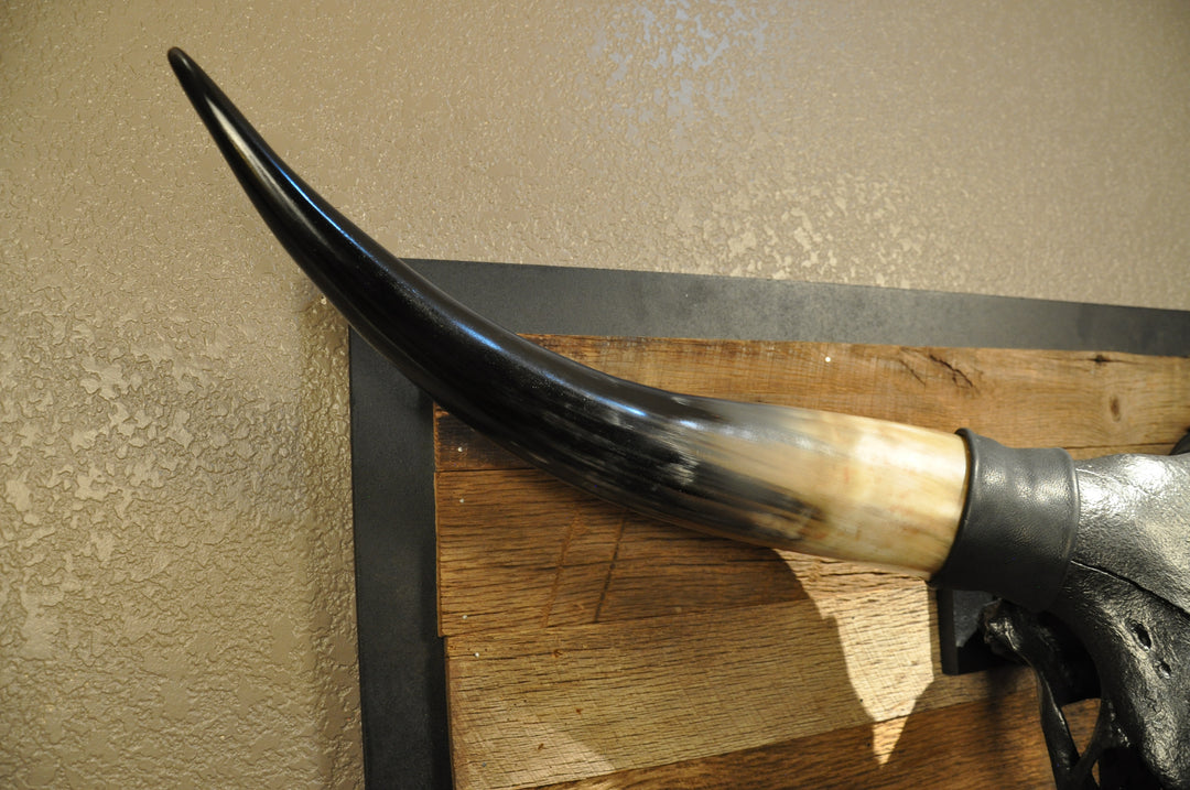 TOUGH LUCK - 4' 1/2" Longhorn Skull