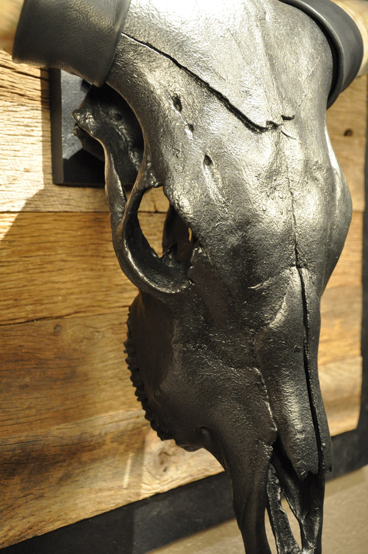 TOUGH LUCK - 4' 1/2" Longhorn Skull