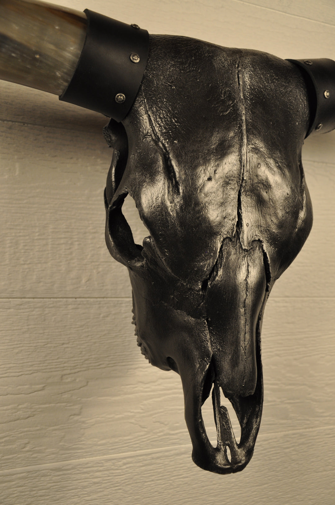 MIDNIGHT - 3' 3" Longhorn Skull