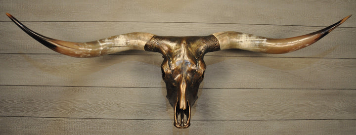 MAVERICK - 5' 6" Longhorn Skull