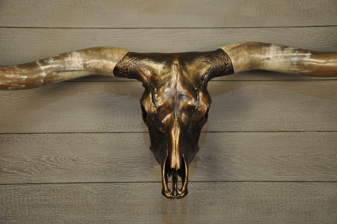 MAVERICK - 5' 6" Longhorn Skull