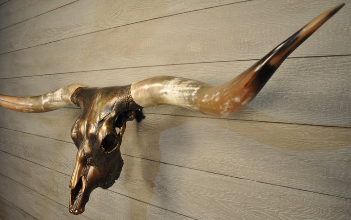 MAVERICK - 5' 6" Longhorn Skull