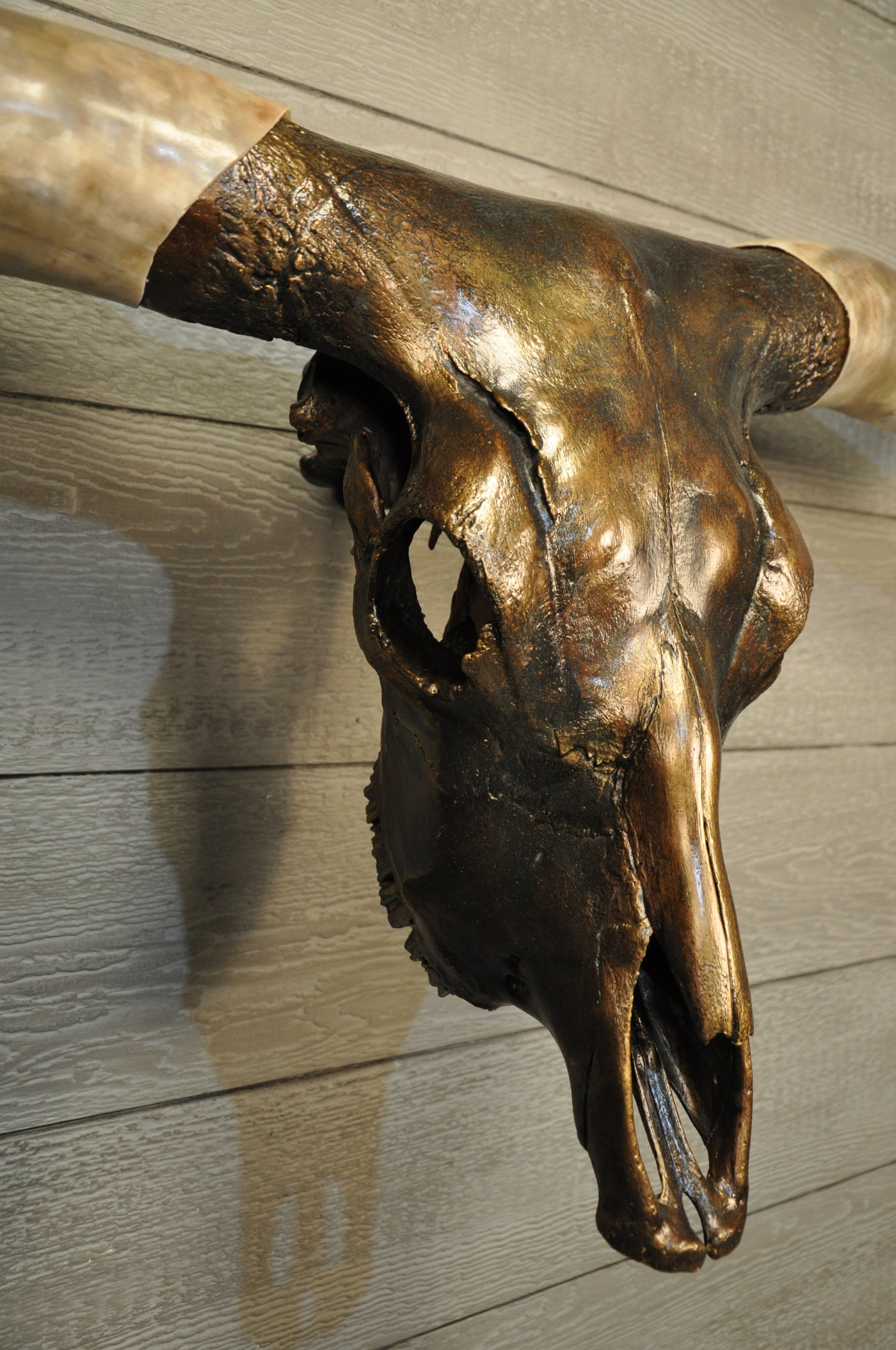 MAVERICK - 5' 6" Longhorn Skull