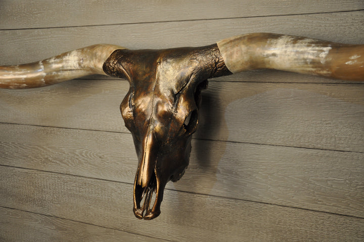 MAVERICK - 5' 6" Longhorn Skull