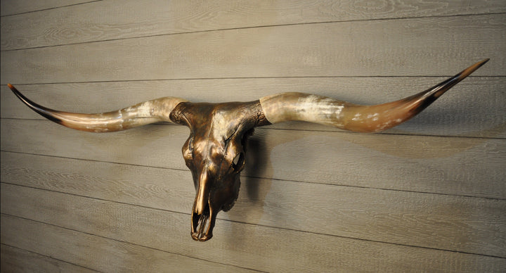 MAVERICK - 5' 6" Longhorn Skull