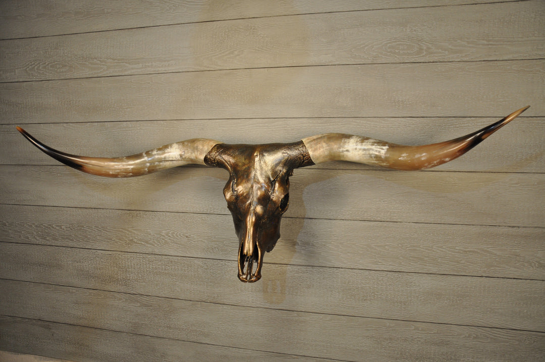 MAVERICK - 5' 6" Longhorn Skull