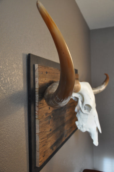 CLEAR PARTY - 6' 8" Longhorn Skull