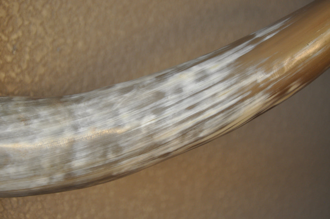 CLEAR PARTY - 6' 8" Longhorn Skull