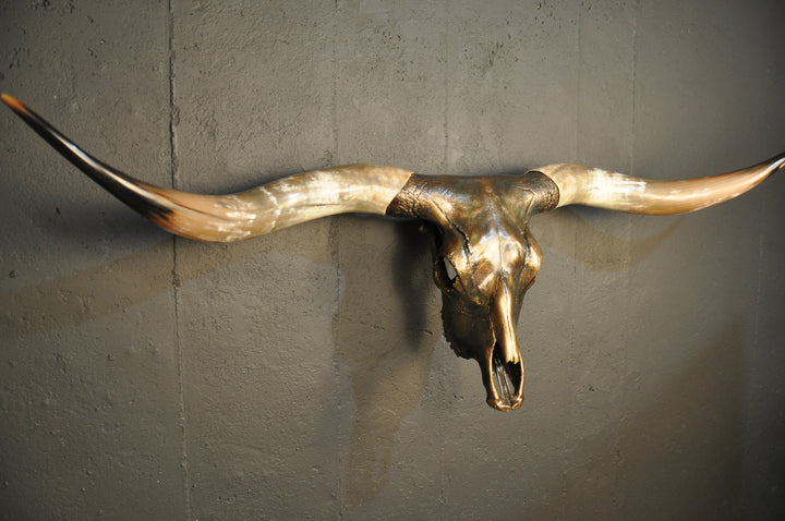 MAVERICK - 5' 6" Longhorn Skull