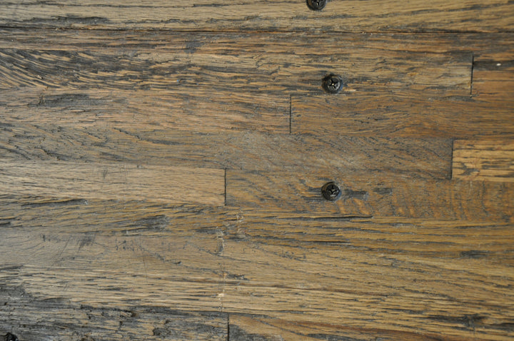 CLEAR PARTY - 6' 8" Longhorn Skull