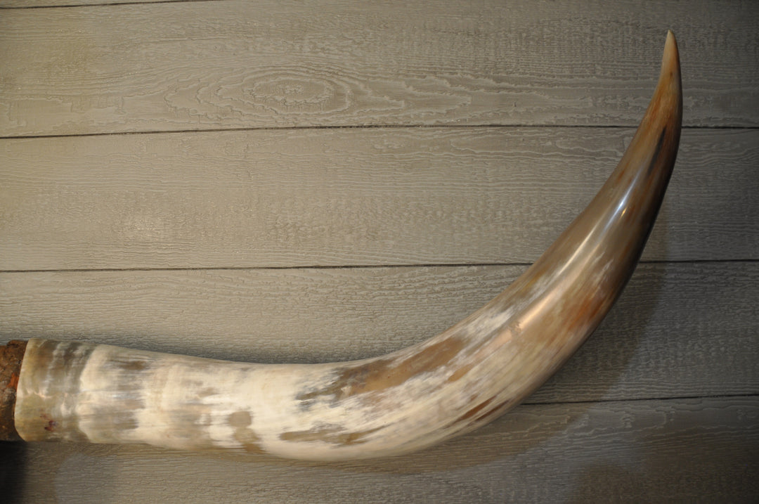 ROUGH & READY - 5' 9" Longhorn Skull
