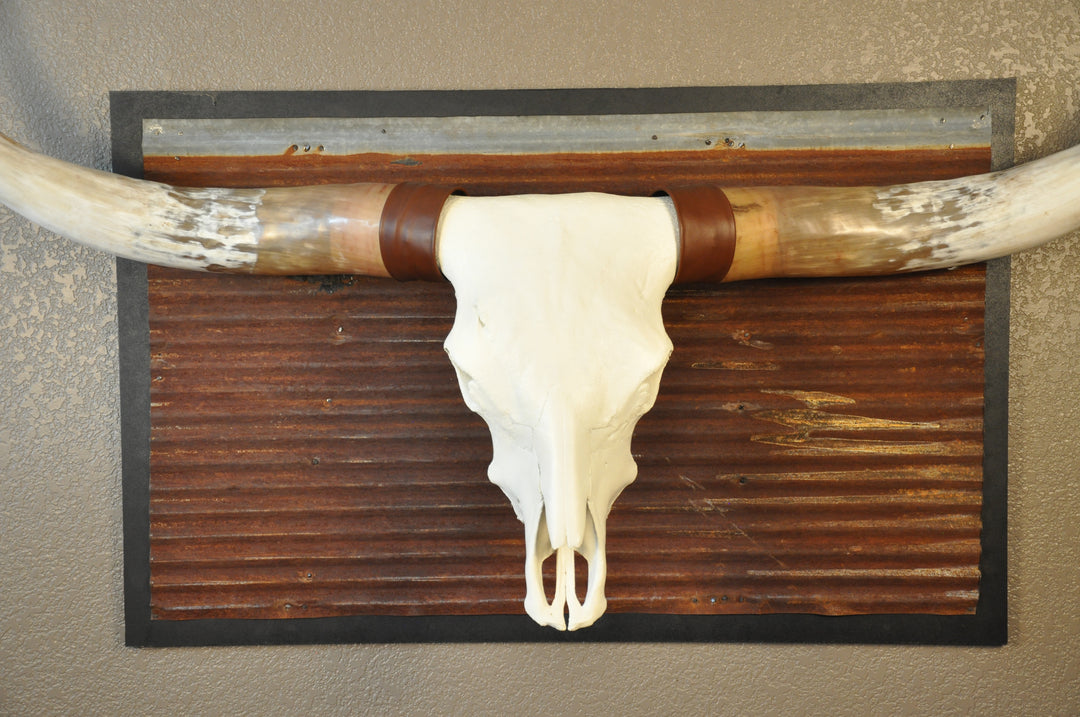 BIG RED - 5' 2" Longhorn Bull Skull