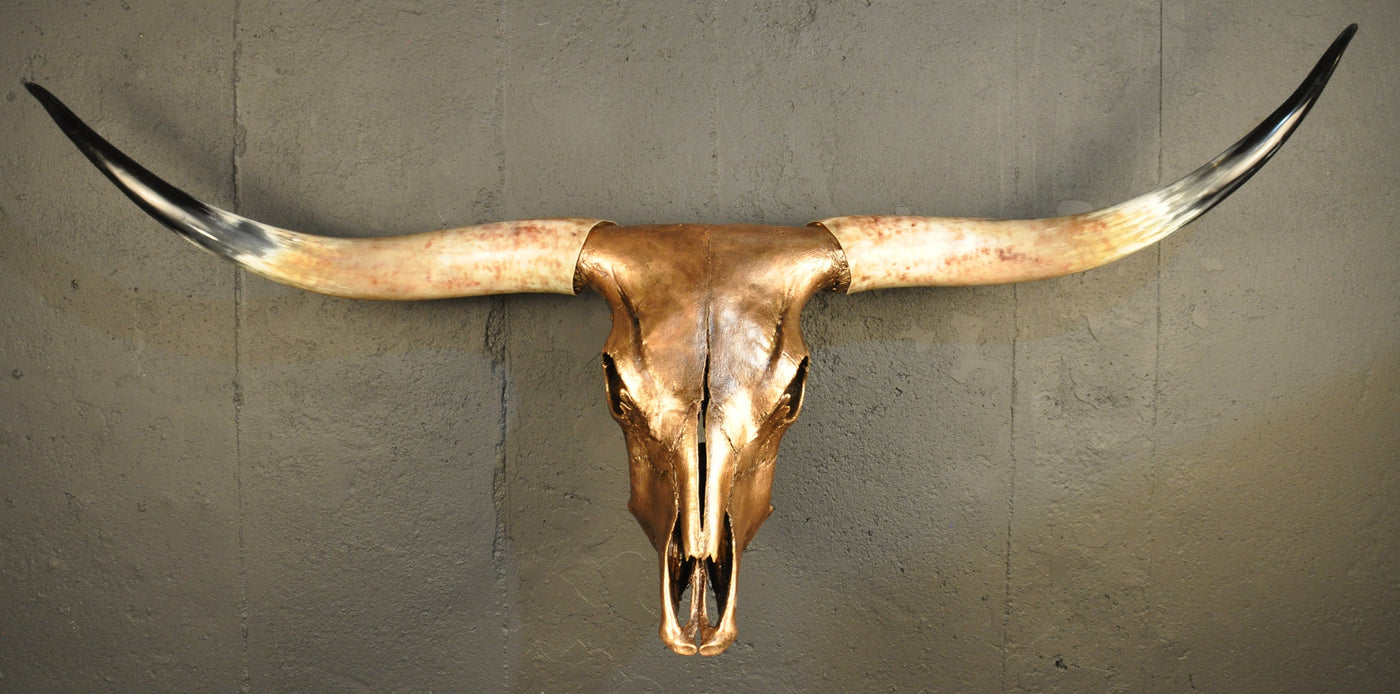 ARIZONA TWILIGHT - 5' 2" Longhorn Skull
