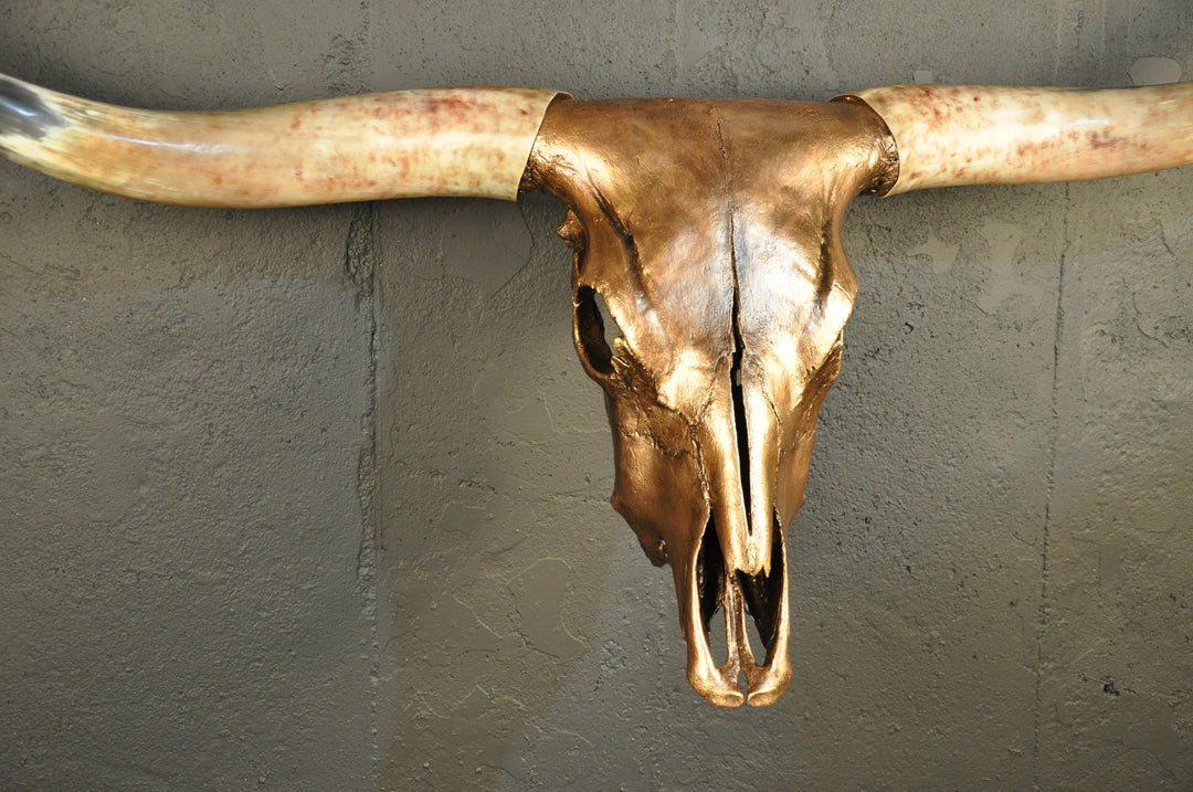 ARIZONA TWILIGHT - 5' 2" Longhorn Skull