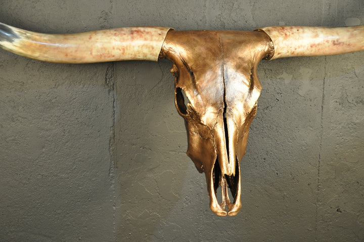 ARIZONA TWILIGHT - 5' 2" Longhorn Skull