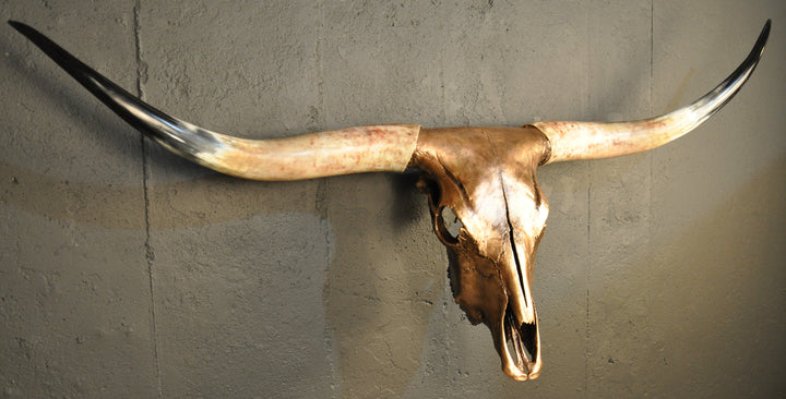 ARIZONA TWILIGHT - 5' 2" Longhorn Skull
