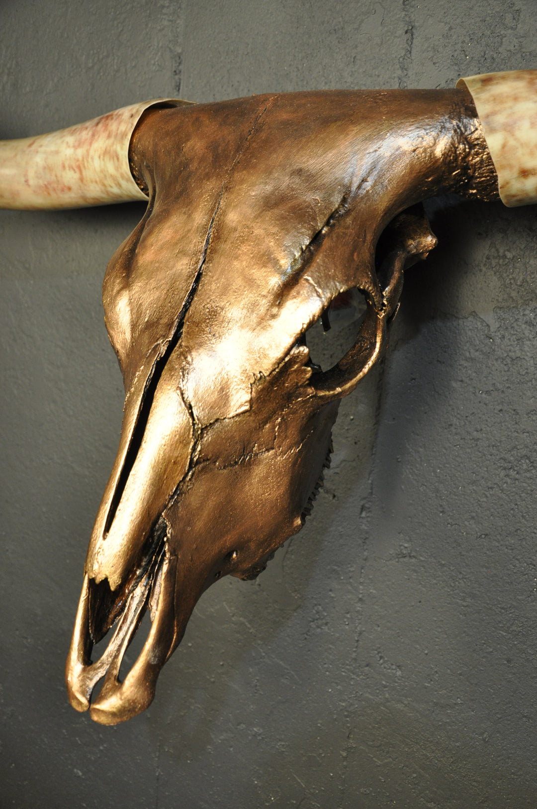 ARIZONA TWILIGHT - 5' 2" Longhorn Skull