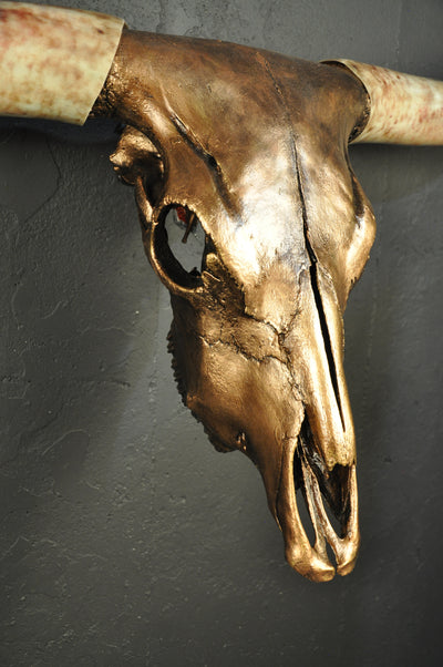 ARIZONA TWILIGHT - 5' 2" Longhorn Skull