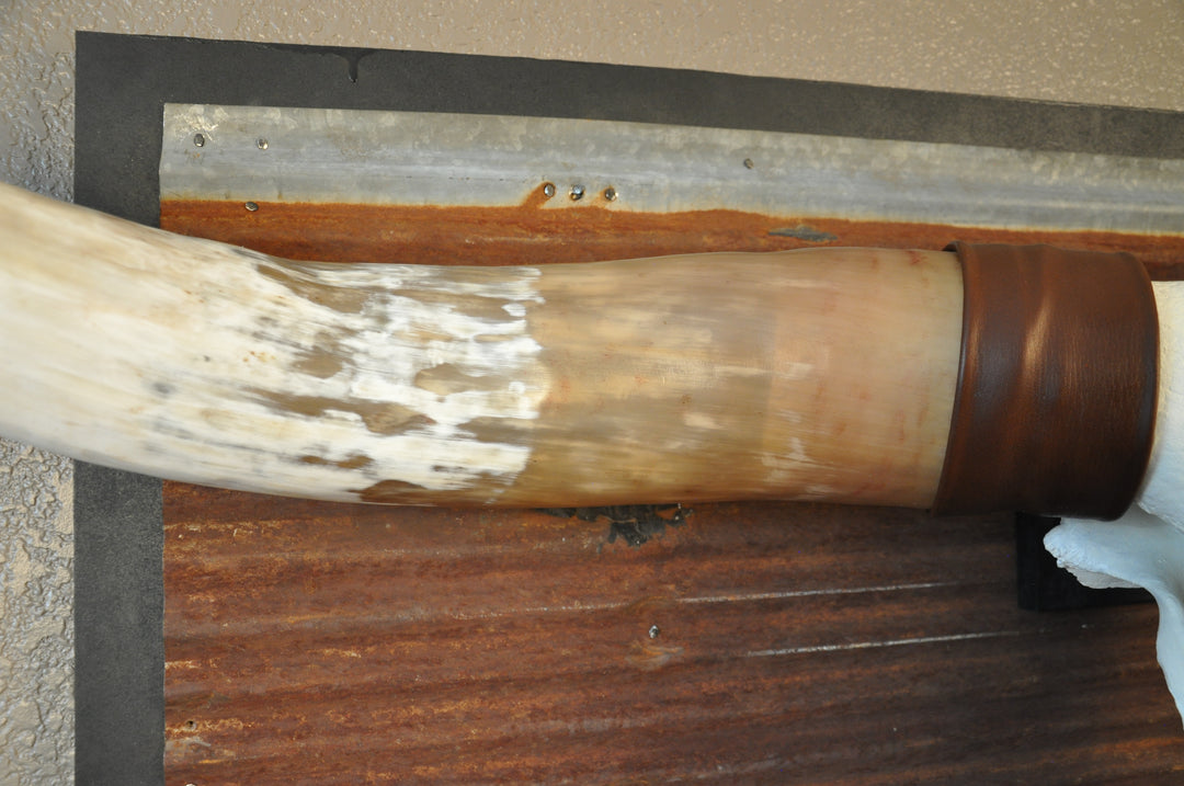 BIG RED - 5' 2" Longhorn Bull Skull