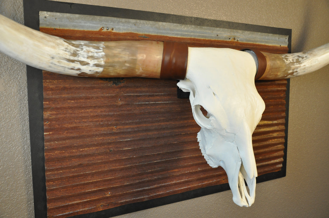 BIG RED - 5' 2" Longhorn Bull Skull