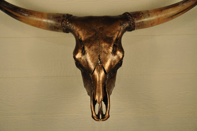 WILD ROSE - 3' 6" Longhorn Skull