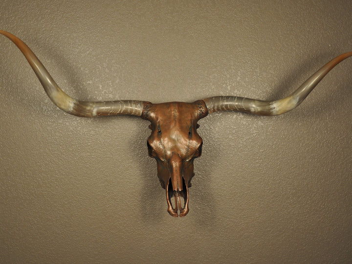 J. L.'s COPPER TWIST - 4' 9" Longhorn Skull