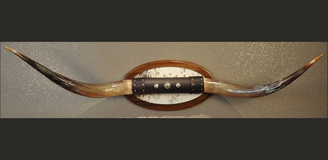 KALEIDOSCOPE - 5' 3" Longhorn Mount