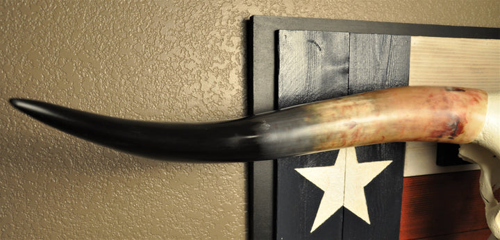 SPIRIT OF TEXAS-II - 5' 5" Longhorn Skull