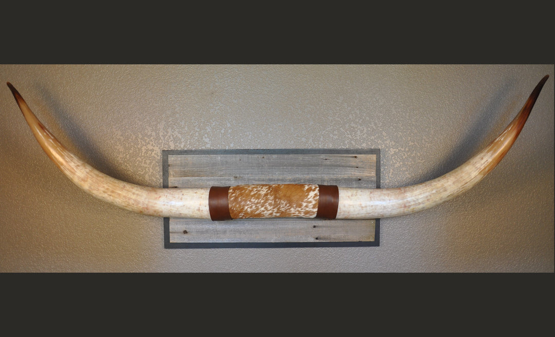 MIMOSA - 6' 7" Longhorn Mount