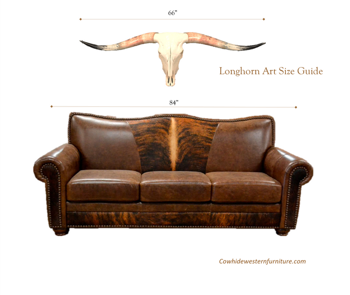 MADELINE - 5' 6" Longhorn Skull