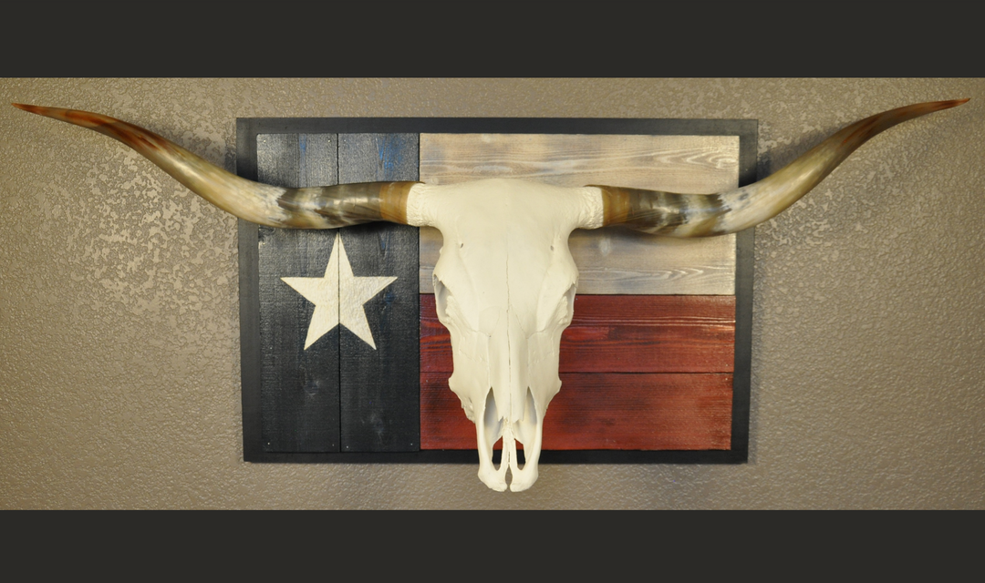 SPIRIT OF TEXAS - 5' 3" Longhorn Skull