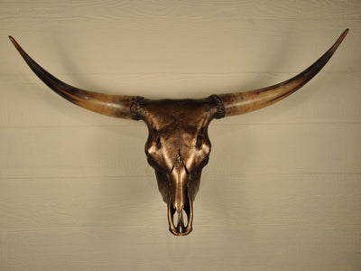 WILD ROSE - 3' 6" Longhorn Skull