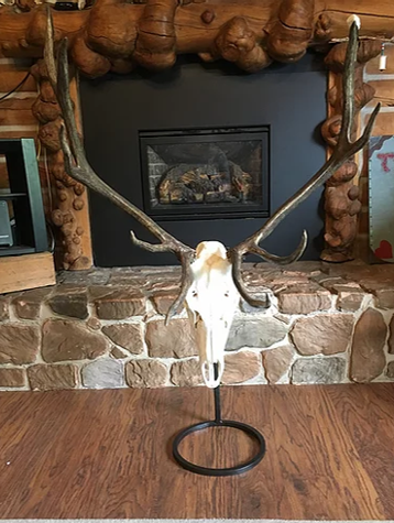 Metal Desktop / Floor Display